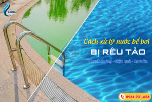 Xử lý nước bể bơi bị rêu tảo